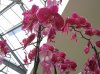 IMG_1537.jpg