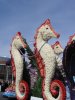 IMG_1680.jpg