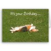 beagle_birthday_card_funny-p137976957019038475qqld_400.jpg