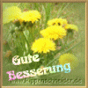 besserung00016.gif