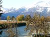 herbst-3.jpg