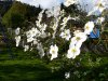 herbst-5.jpg