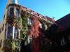 herbst-6.jpg