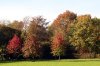 Stadtgarten  400X266.jpg