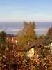 Bild0005.jpg