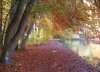 herbst.jpg
