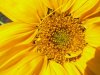 DSCN0857.JPG