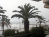 Tormenta 2011 - 2.jpg