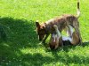 100_7458.jpg