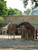 3 Kuschelalarm_Zoo Berlin.JPG