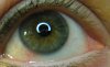 auge 020.JPG