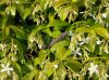 DSC03134ro.jpg