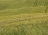 DSC05267ro.jpg