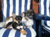 DSCF7170.jpg