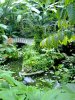 Botanischer Garten 1.jpg