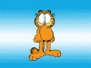 garfield_10.gif