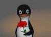 pinguin mit rose.jpg pinguin mit rose.jpg