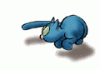 blaue katze.gif blaue katze.gif