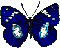 blauer s ling.gif
