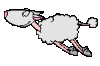 fliegendes schaaf.gif fliegendes schaaf.gif