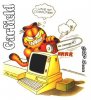 garfield mein compu.jpg