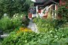 gartenPICT3405.jpg