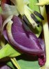 DSC02194a.jpg