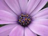 5_Bornholm-M.jpg