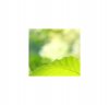 DSC00440.jpg