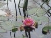 PICT0001.jpg