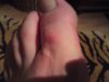 DSC00083.jpg