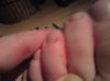 DSC00086.jpg