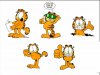 Garfield+56.jpg