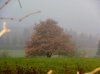 12Herbststimmung.jpg
