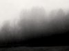 Nebel.im.Moor.jpg