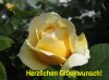 glückwunsch1.jpg glückwunsch1.jpg