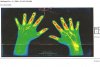 Hand zugeschnitten.jpg