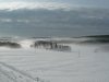 schneenebelDSCN7676.jpg schneenebelDSCN7676.jpg