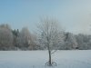 nebeldunstDSCN9951.jpg nebeldunstDSCN9951.jpg