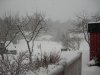 esschneitDSCN2624.jpg esschneitDSCN2624.jpg