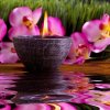 4385275-spa-kerze-blumen-und-orchideen-gr-ne-gras-f-r-alternative-therapie.jpg