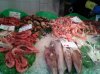 Crustaceos.jpg