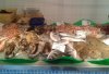 2012-02-25 11.32.jpg