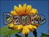 danke_blume.jpg danke_blume.jpg