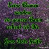Blumen für doro.jpg Blumen für doro.jpg