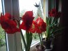DSC00443.jpg