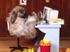 frohe-ostern.jpg