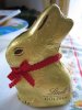 osterhase.JPG osterhase.JPG