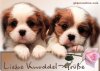 bbce6c320de756f3dea03e0f856abb30.jpg