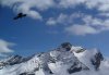 Saas-Fee mit Greifvogel.jpg